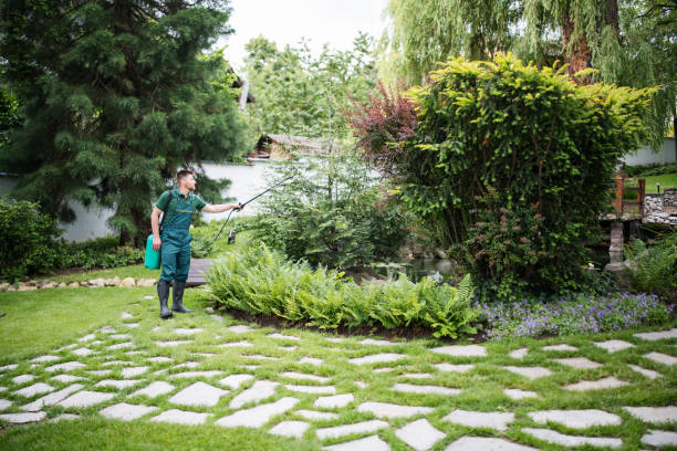 Best Lawn Watering Services  in Brielle, NJ