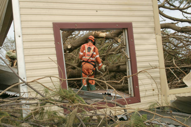 Best Root Management and Removal  in Brielle, NJ